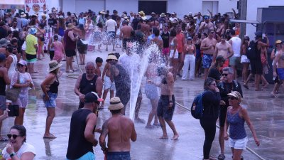 Verbena del agua en Famara, 2026