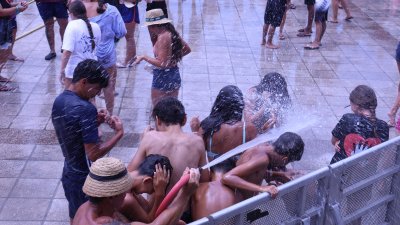 Verbena del agua en Famara, 2026