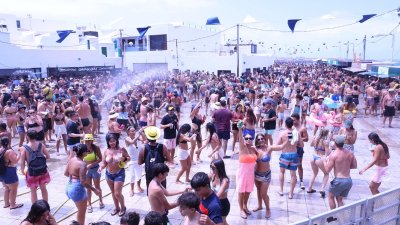Verbena del agua en Famara, 2026