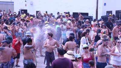 Verbena del agua en Famara, 2026