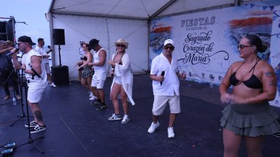 Verbena del agua en Famara, 2026