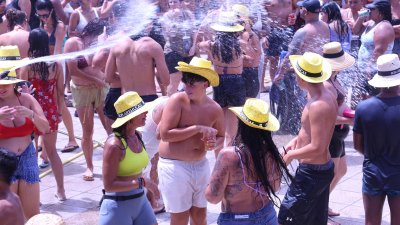 Verbena del agua en Famara, 2026