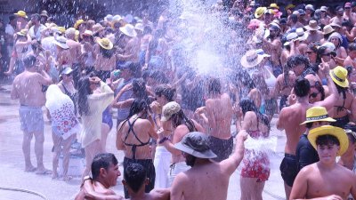 Verbena del agua en Famara, 2026