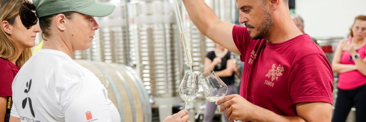 Ruta de viticultores en Bodega Tao