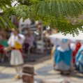 Evento cultural en Canarias.