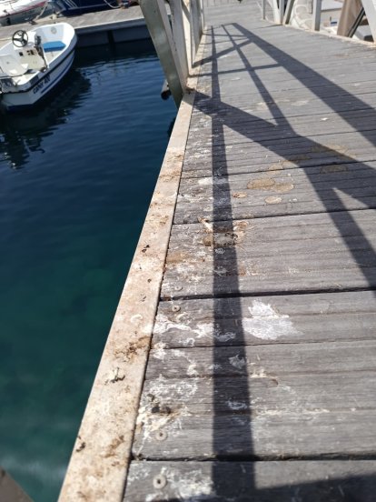 Quejas por los excrementos de las palomas en el puerto de La Tiñosa 