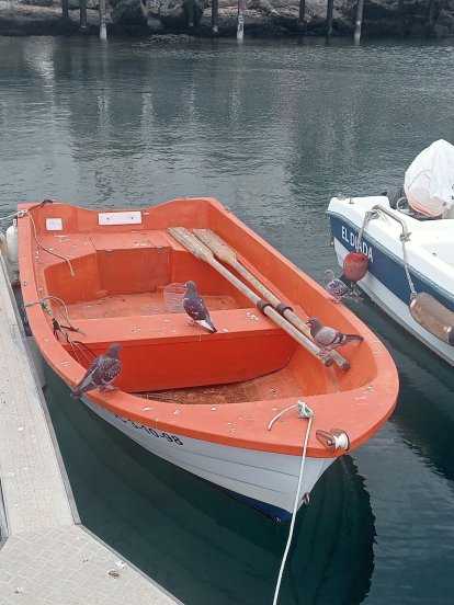 Quejas por los excrementos de las palomas en el puerto de La Tiñosa 