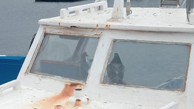 Quejas por los excrementos de las palomas en el puerto de La Tiñosa 