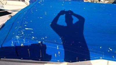 Quejas por los excrementos de las palomas en el puerto de La Tiñosa 