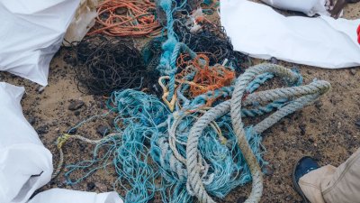 Retirada de residuos de la playa de El Risco