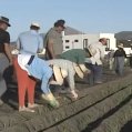 Atlantes (1995) Lanzarote. Foto: RTVE