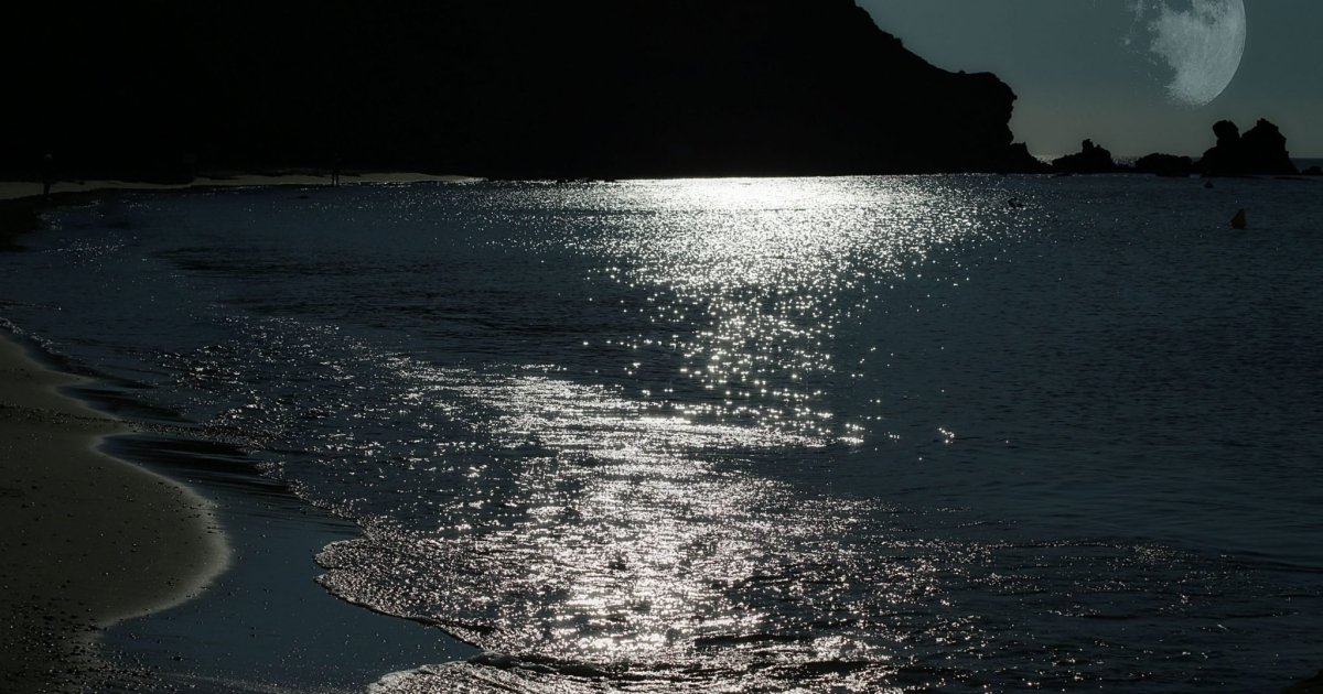 How does the Moon influence plankton and carbon absorption in the ocean? #Ekonomus