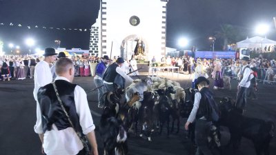 Ofrenda a la Virgen de Los Dolores, 2026 (Fotos: La Voz)