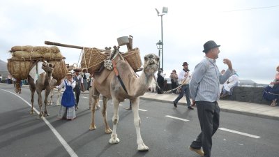 Romeria ofrenda de Los Dolores 2026   (13)