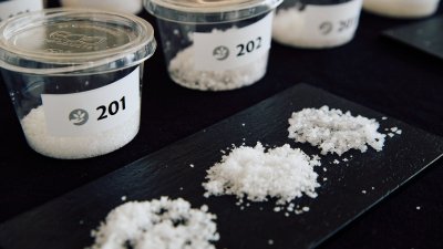 Concurso Agrocanarias Sal Marina 2026 en Lanzarote