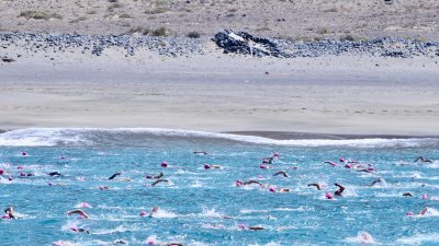 XXX edición de la Travesía a Nado “El Río” 
