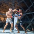 Guanches Warriors Championship