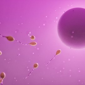 Proyecto de innovación canaria en técnicas de reproducción asistida y selección embrionaria