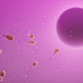 1.mirnas ok  2048x1365
