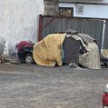 IMG 4197f