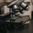 Vista detallada de un microscopio de laboratorio, esencial para la investigación y el análisis científico.