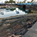 Limpieza en el Charco de San Ginés
