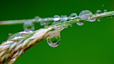 Uno de los proyectos impulsará la investigación aplicada, la innovación y la transferencia de conocimiento el sector industrial del agua.