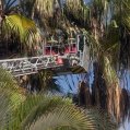 Rescate de un guacamayo en Playa Blanca