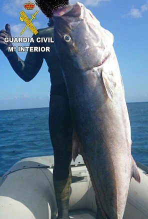 ILLEGAL UNDERWATER FISHING LA GRACIOSA RESERVE