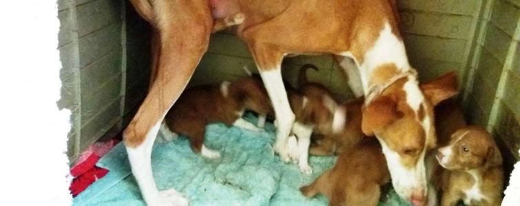 14257645_1103359979753994_8288216273484760362_o