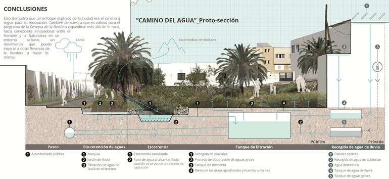 Caminos del Agua proyecto arrecife biosfera 1