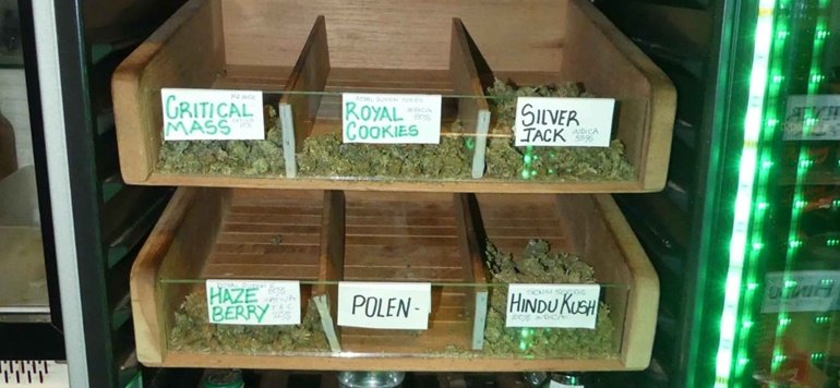 droga asociacion poli 3