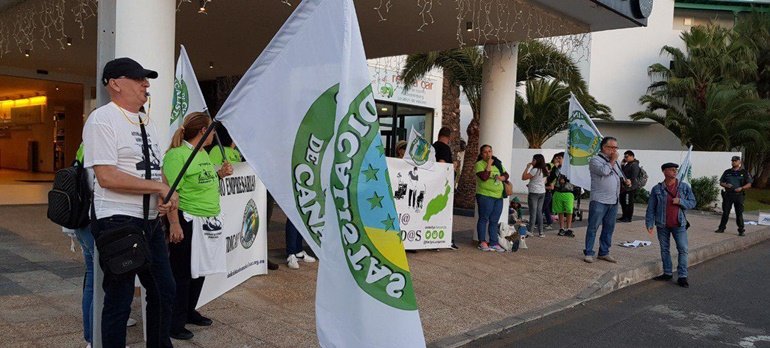 pitada hitel be live 2