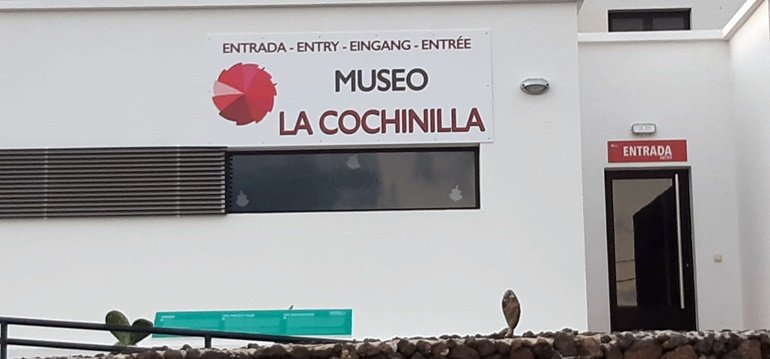 museo cochinilla 2