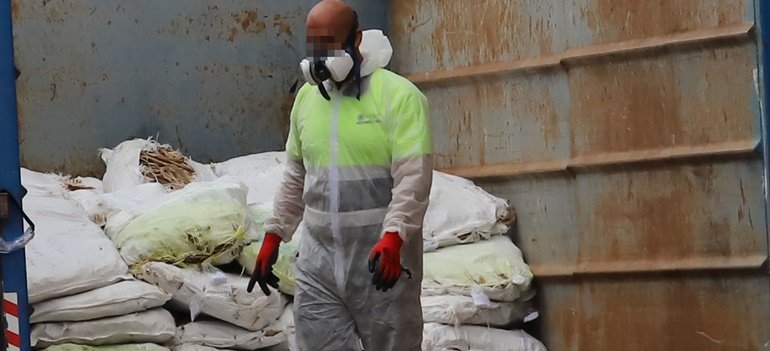 tollos sanidad altavista africamar 5