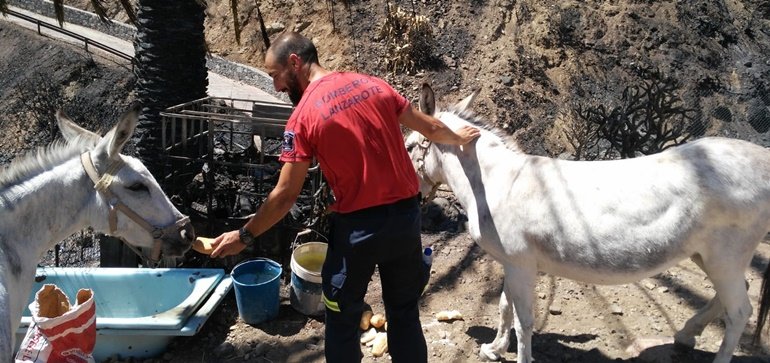 bombero gran canaria 2