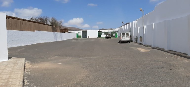 interior perrera arrecife