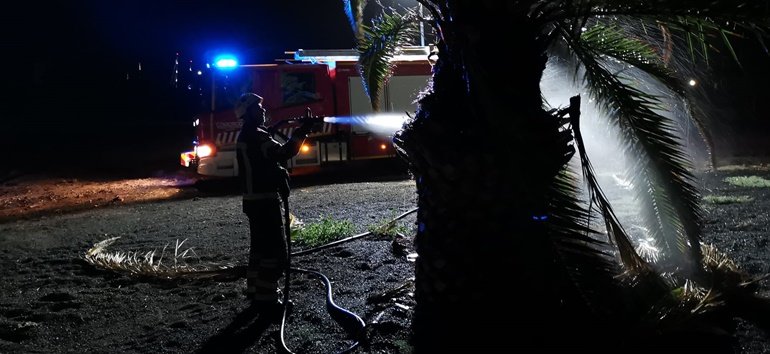 incendio palmera puerto calero