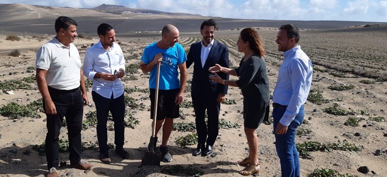 guillermo mariscal con productores de batata en lanzarote